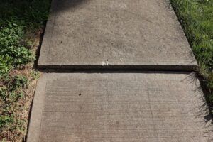 Uneven Concrete Sidewalk | Pro Polyjacking