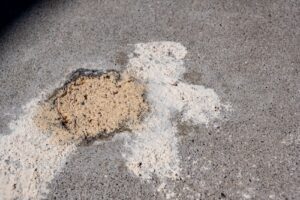 Fresh Concrete in Mud | Pro Polyjacking